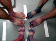 Pieds