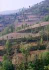 Inde Npal 7