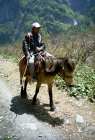 Inde Npal 10