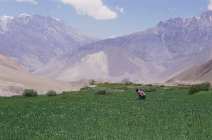 Inde Npal 12