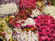 Fleurs