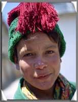 Pompon